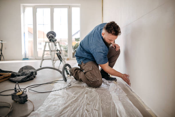 A Complete Guide How to Painting Plaster Walls