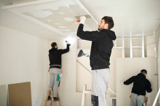 Best Tips To Repair a Plaster Ceiling